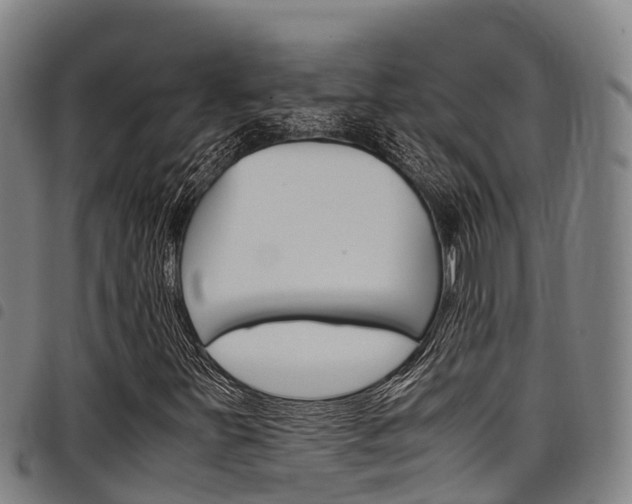 X0000098121251200804040816