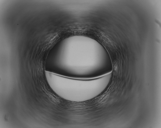 X0000098121252200804040816