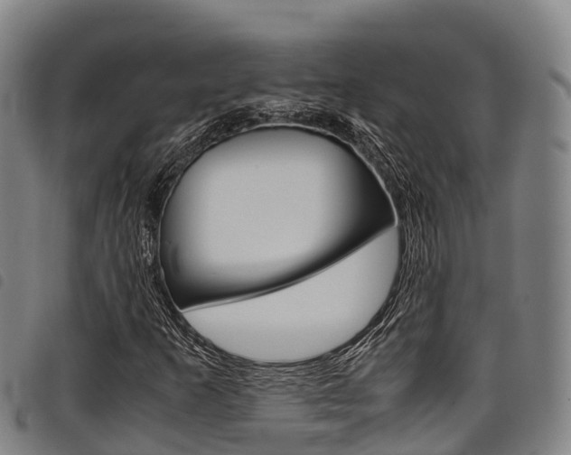 X0000098121253200804040816