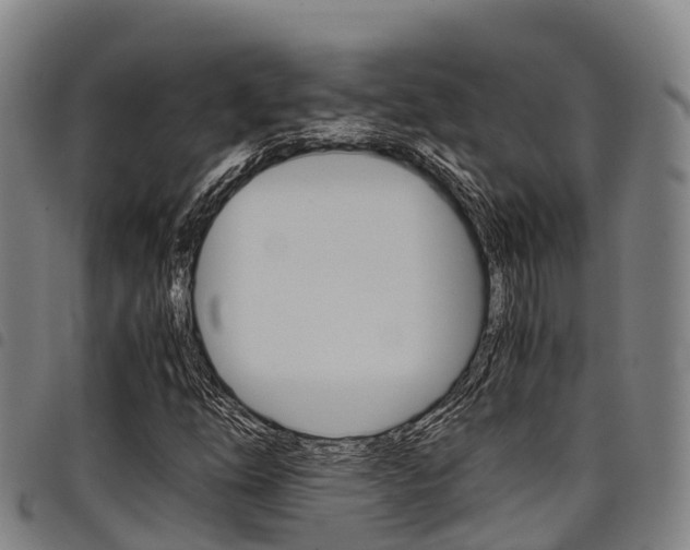 X0000098121254200804040816