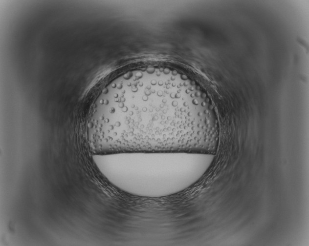 X0000098121255200804040816