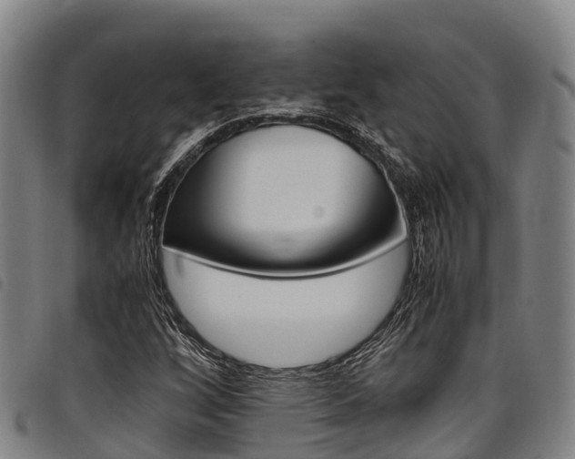 X0000098121256200804040816