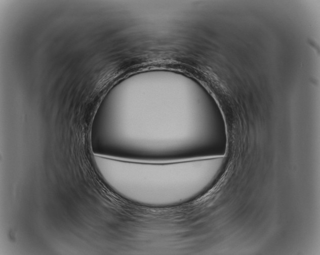 X0000098121257200804040816