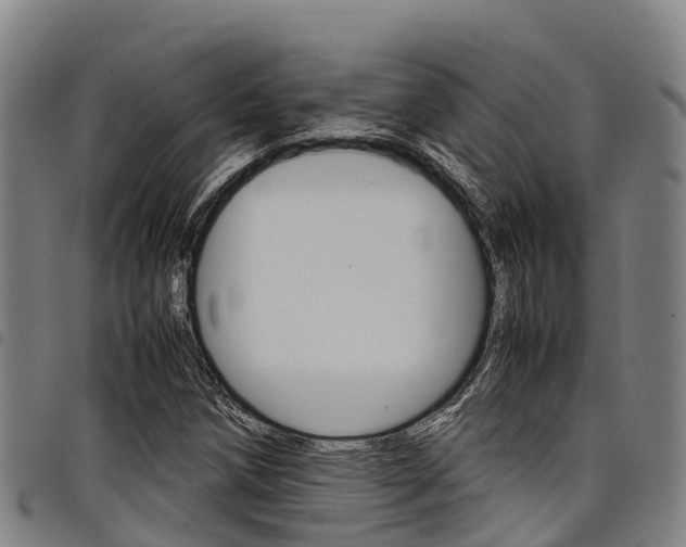 X0000098121258200804040816