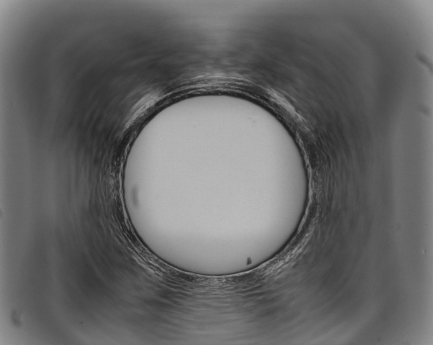 X0000098121259200804040816