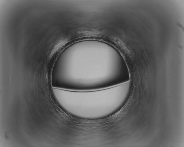 X0000098121261200804040816