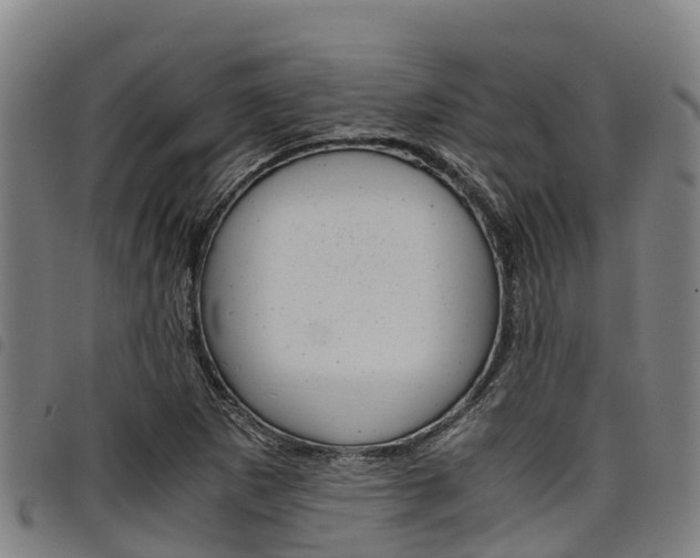 X0000098121265200804040816