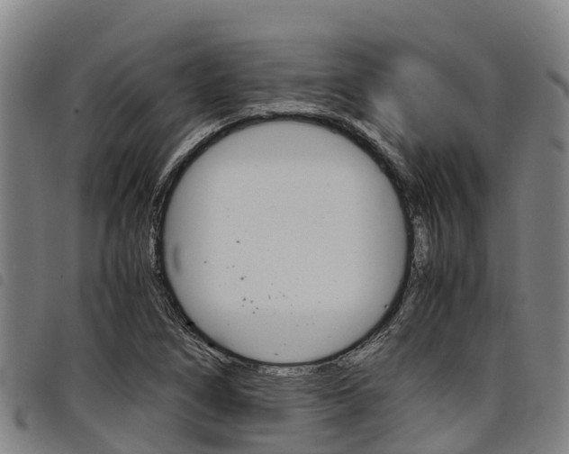 X0000098121266200804040816