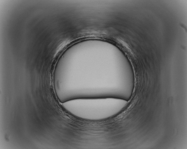 X0000098121267200804040816
