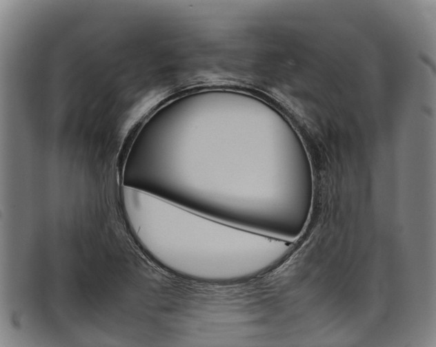 X0000098121269200804040816