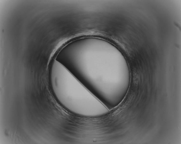 X0000098121270200804040816