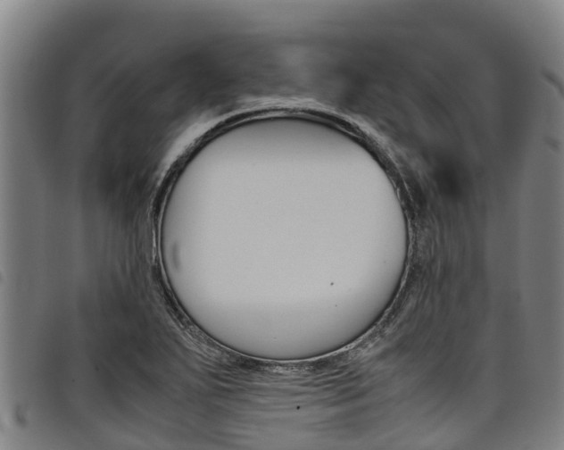 X0000098121271200804040816
