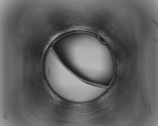 X0000098121272200804040815