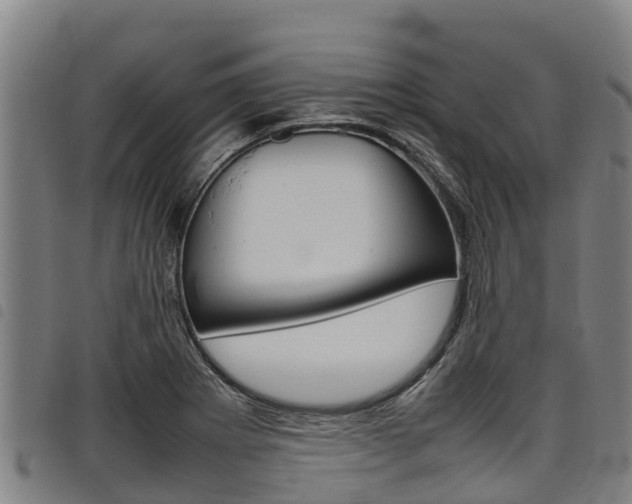 X0000098121273200804040815