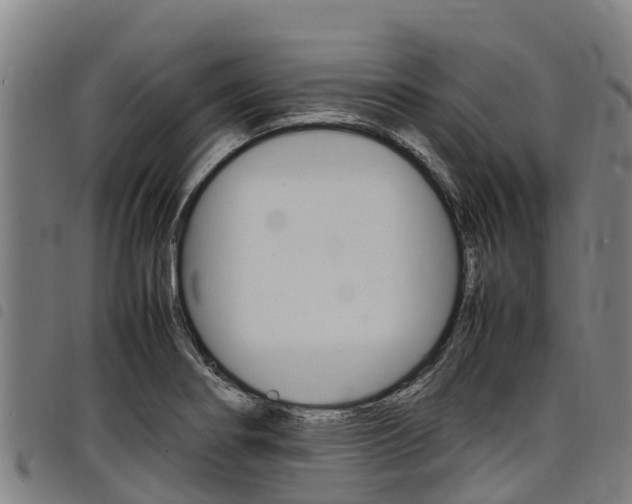 X0000098121274200804040815