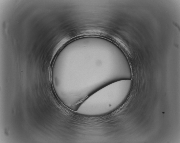 X0000098121275200804040815