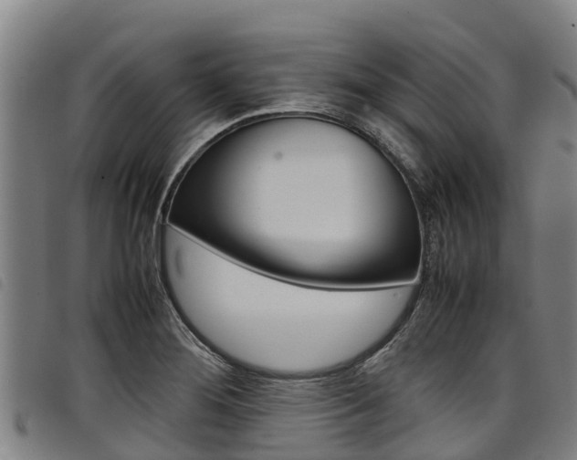 X0000098121276200804040815