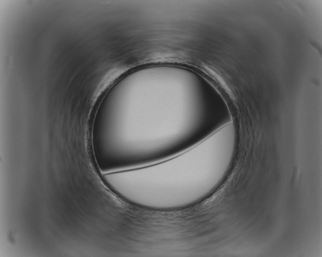 X0000098121277200804040815
