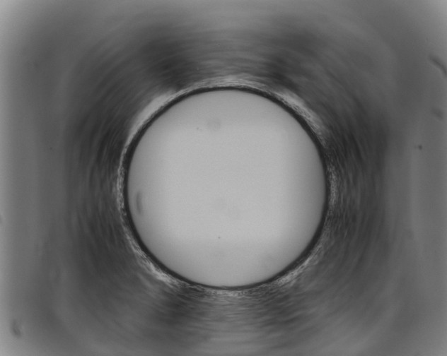 X0000098121278200804040815