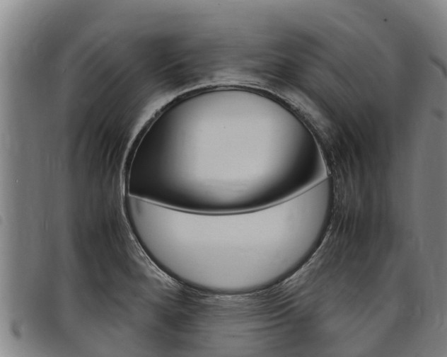 X0000098121280200804040815