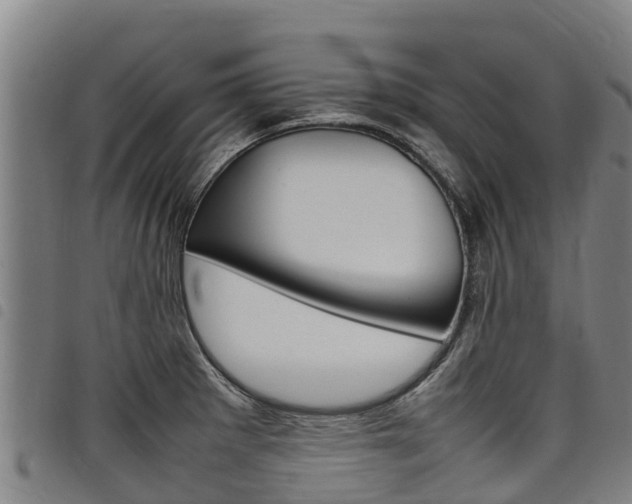 X0000098121281200804040815
