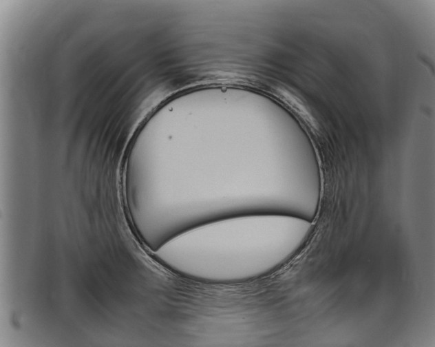X0000098121283200804040815