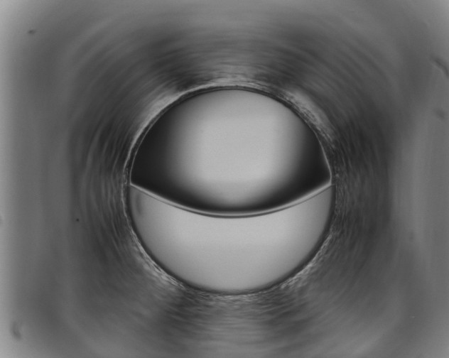 X0000098121284200804040815