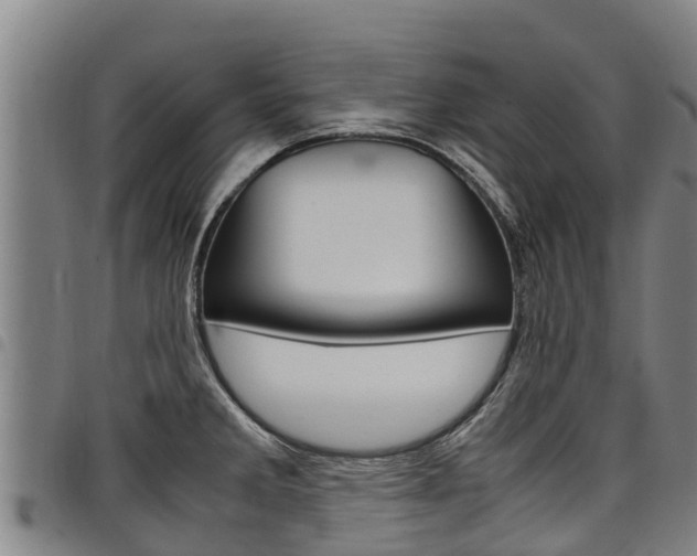 X0000098121285200804040815