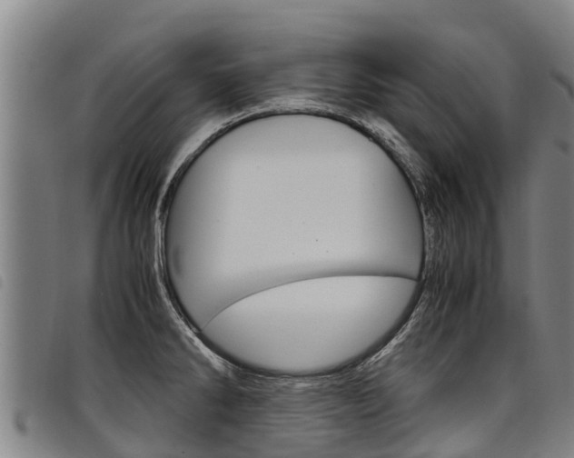 X0000098121286200804040815