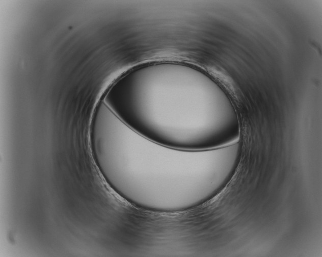 X0000098121288200804040815