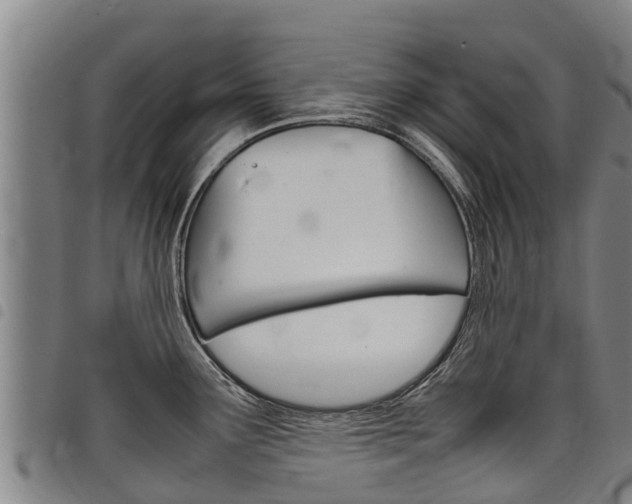 X0000098121291200804040815