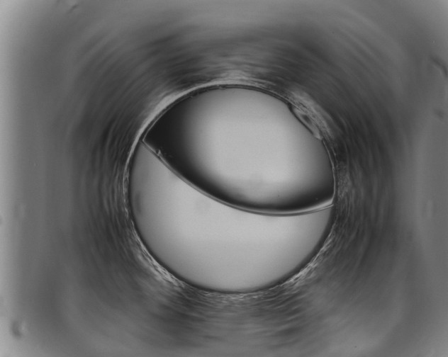 X0000098121292200804040815