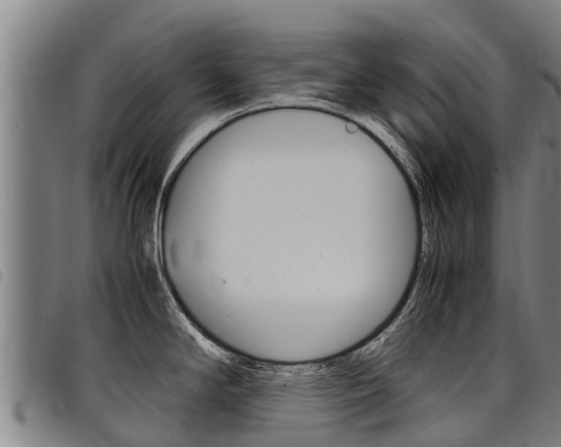X0000098121294200804040815