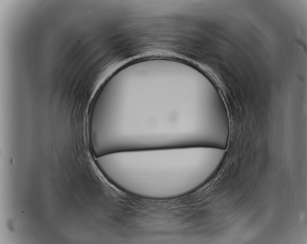 X0000098121295200804040815