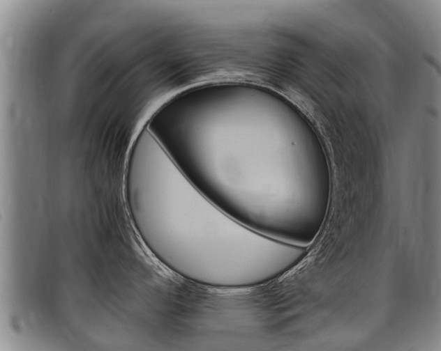 X0000098121296200804040815