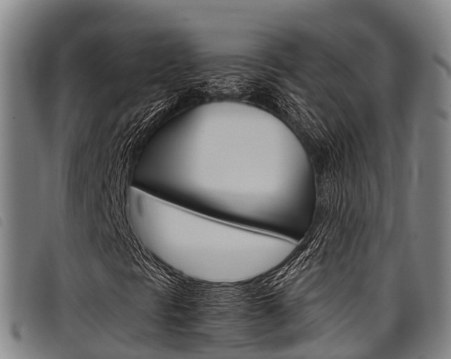 X0000098121297200804040814