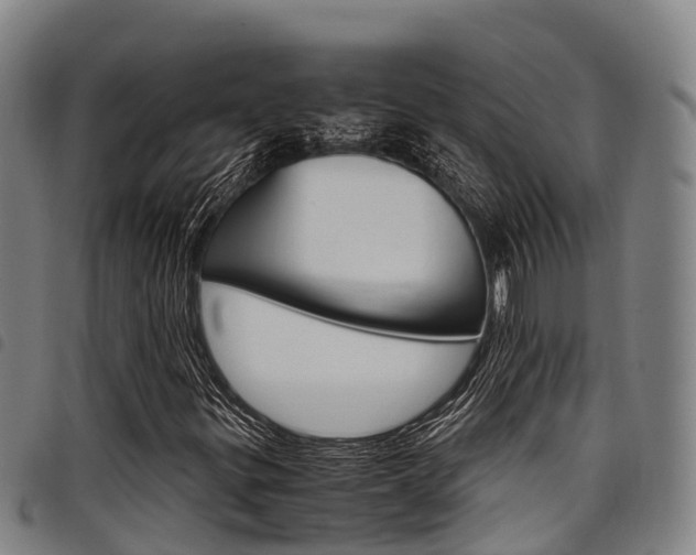 X0000098121299200804040814