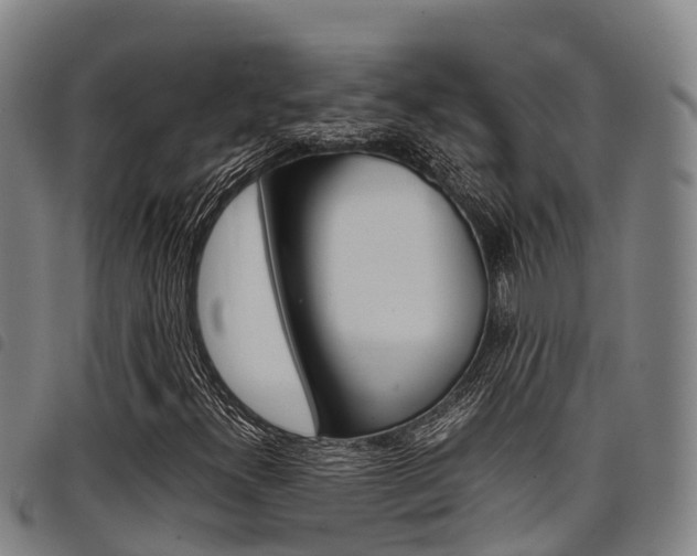 X0000098121300200804040814