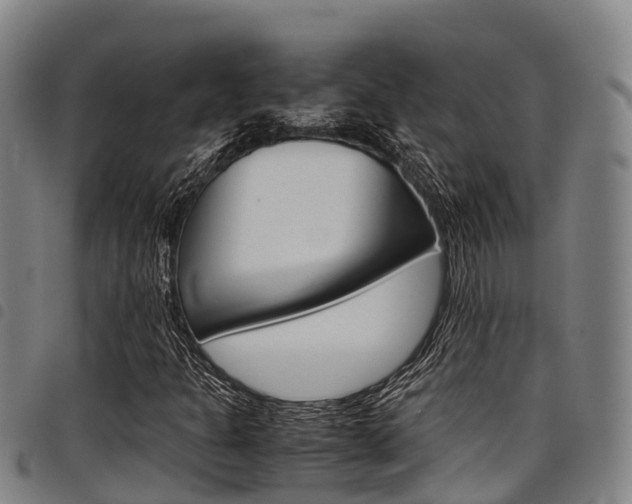 X0000098121301200804040814