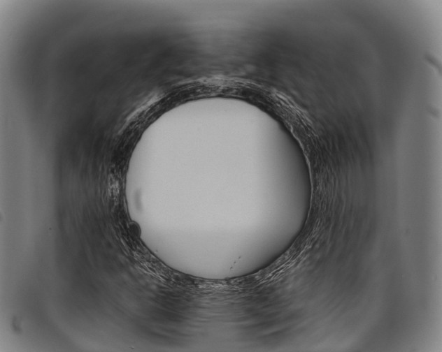 X0000098121302200804040814