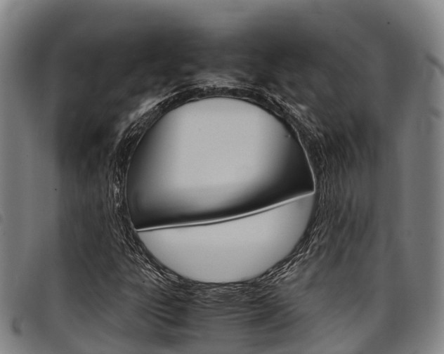 X0000098121303200804040814