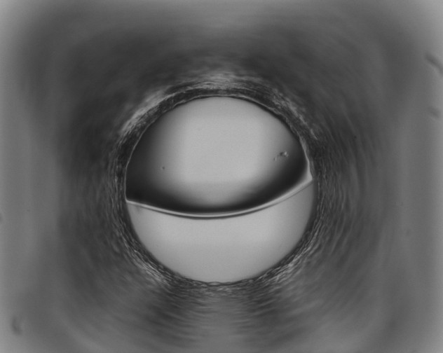 X0000098121304200804040814