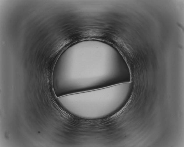 X0000098121305200804040814