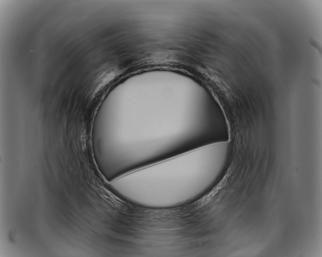 X0000098121306200804040814