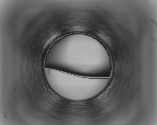 X0000098121307200804040814