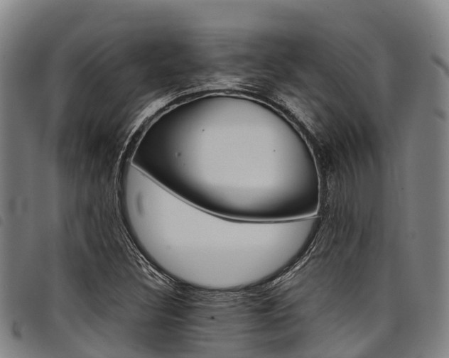 X0000098121308200804040814