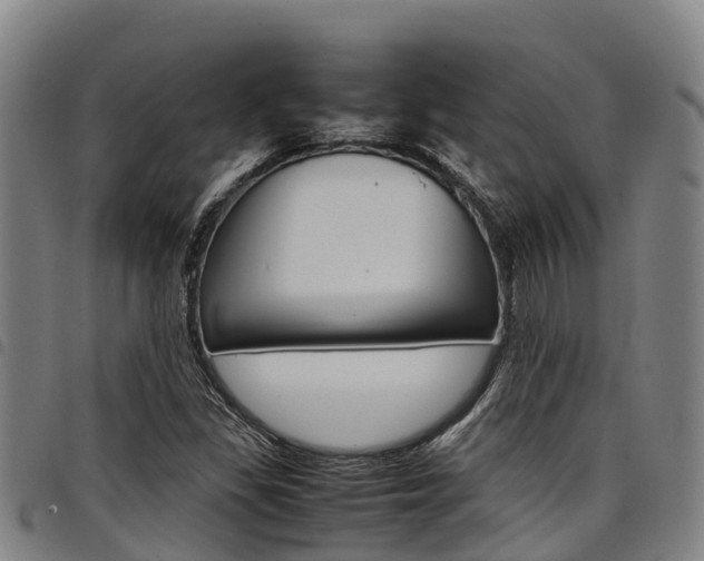 X0000098121309200804040814
