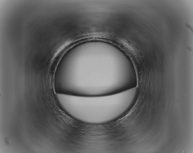 X0000098121310200804040815