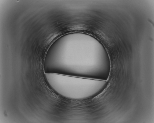 X0000098121313200804040815