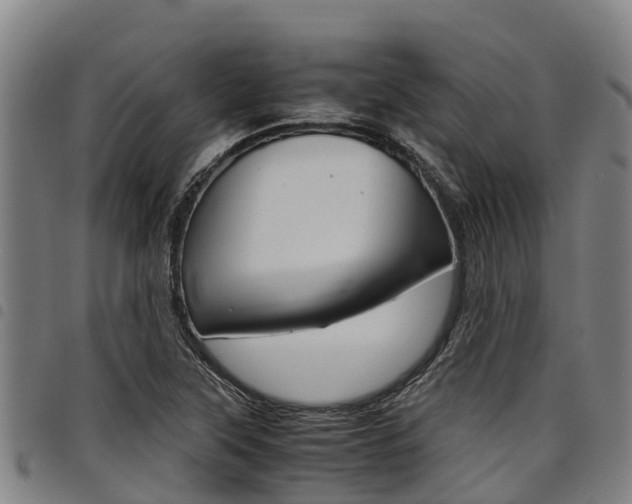 X0000098121315200804040815